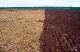 Как черный пар влияет на запасы продуктивной влаги в почве - agroexpert.md