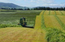 Noul cod funciar - agroexpert.md