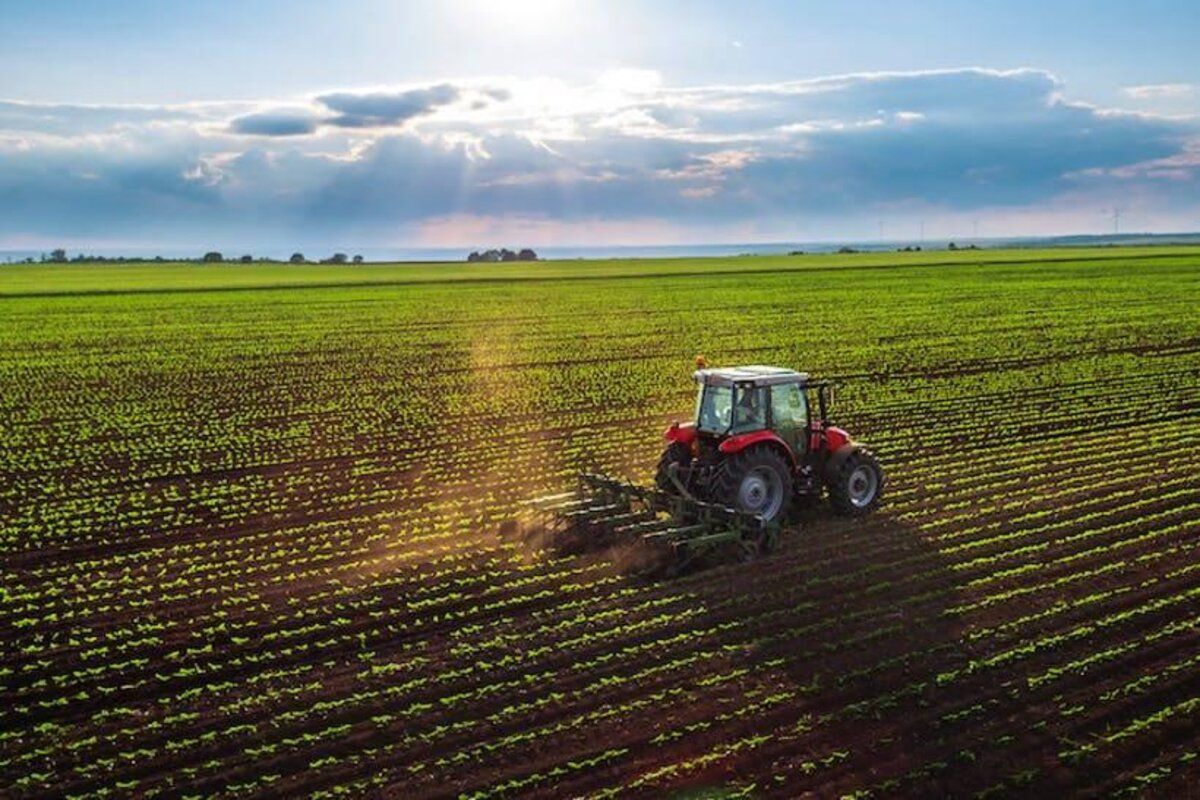 agricultor Ungheni ramură nou legumicultura - agroexpert.md