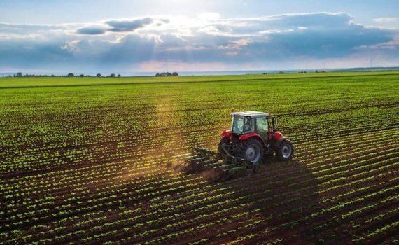 agricultor Ungheni ramură nou legumicultura - agroexpert.md