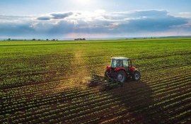 agricultor Ungheni ramură nou legumicultura - agroexpert.md
