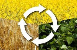 asolament subvenționare - agroexpert.md