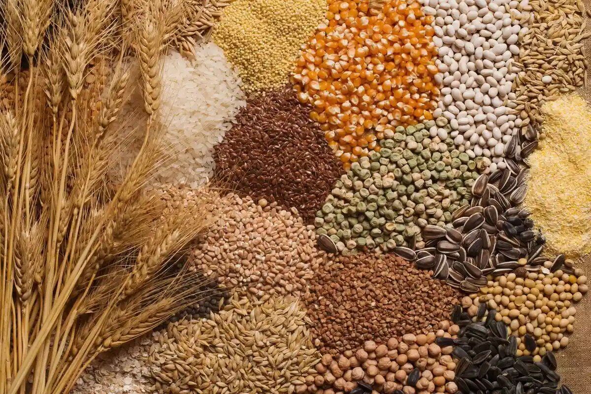 Ucraina sector cereale pierderi - agroexpert.md