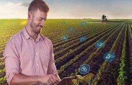 MAIA concurs prestatorii servicii agricultură - agroexpert.md