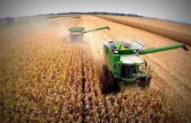 amendă Orom-Imexpo SRL Consiliul Concurenței - agroexpert.md