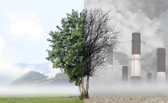 poluarea aerului - agroexpert.md