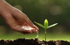 Grant Asigurarea fermierilor cu fertilizanți - agroexpert.md