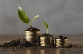 Promovarea femeilor în afaceri - agroexpert.md