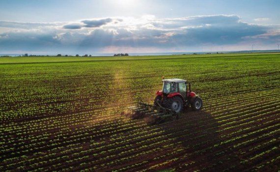 subvenții post-investiție - agroexpert.md