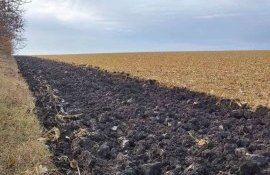 Какой удельный вес черного пара в севообороте самый оптимальный - agroexpert.md