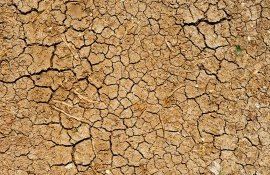 soluri nesănătoase degradează - agroexpert.md