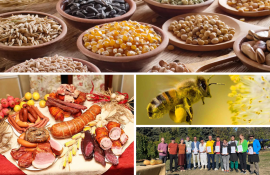 Подборка самых интересных новостей - agroexpert.md