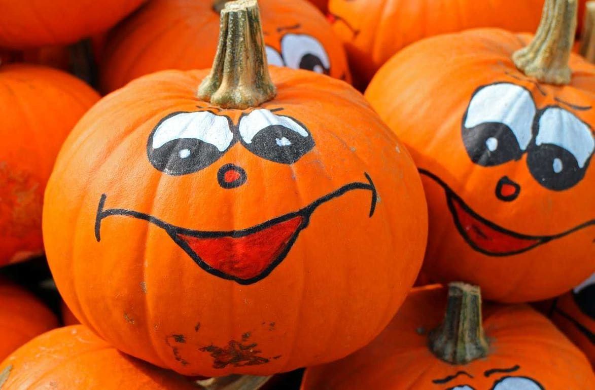 Не только на Хэллоуин: 7 невероятных фактов о тыквах - agroexpert.md