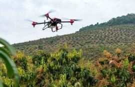 apel deschis antreprenori grant inovații digitale - agroexpert.md