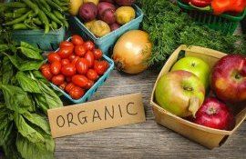 suport financiar procurare utilaje agricole eco - agroexpert.md