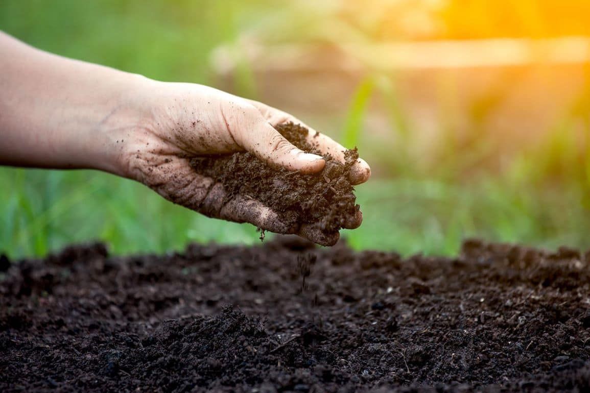 Увеличение органического углерода в почве прокормит еще 640 млн человек - agroexpert.md