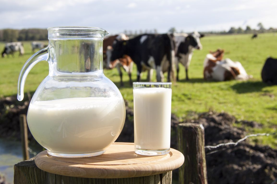 В молочном животноводстве – стагнация, что уже неплохо - agroexpert.md
