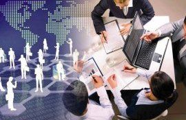 Activitate agenți economici simplificată - agroexpert.md
