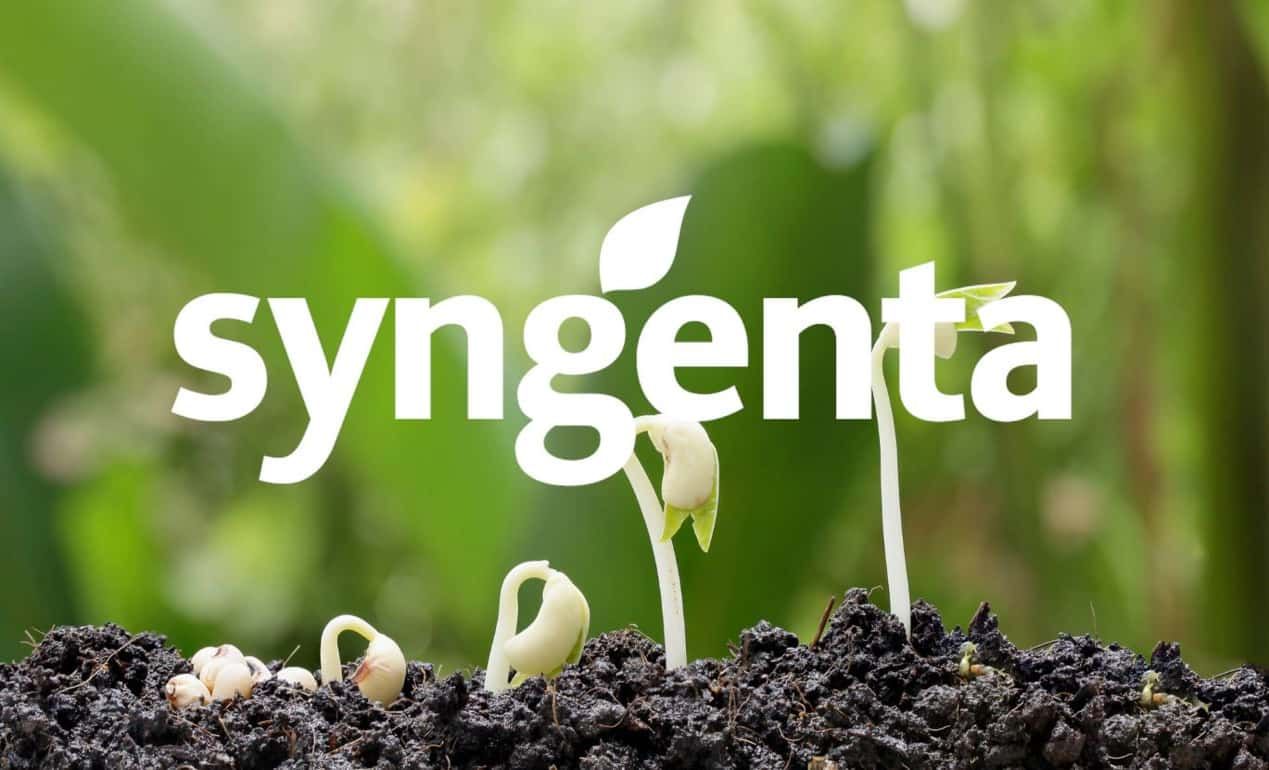 Новое азотфиксирующее средство для пропитки семян от Syngenta - agroexpert.md