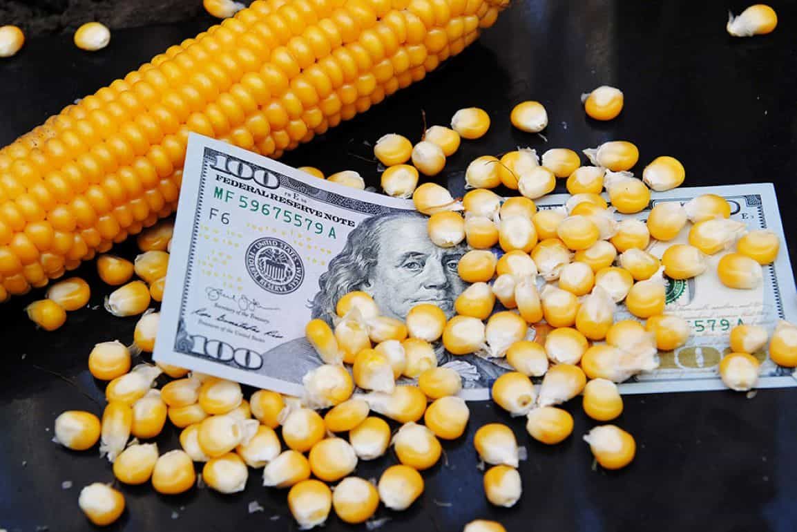 Мировой рынок зерна, среда: кукуруза упала до семинедельного минимума - agroexpert.md