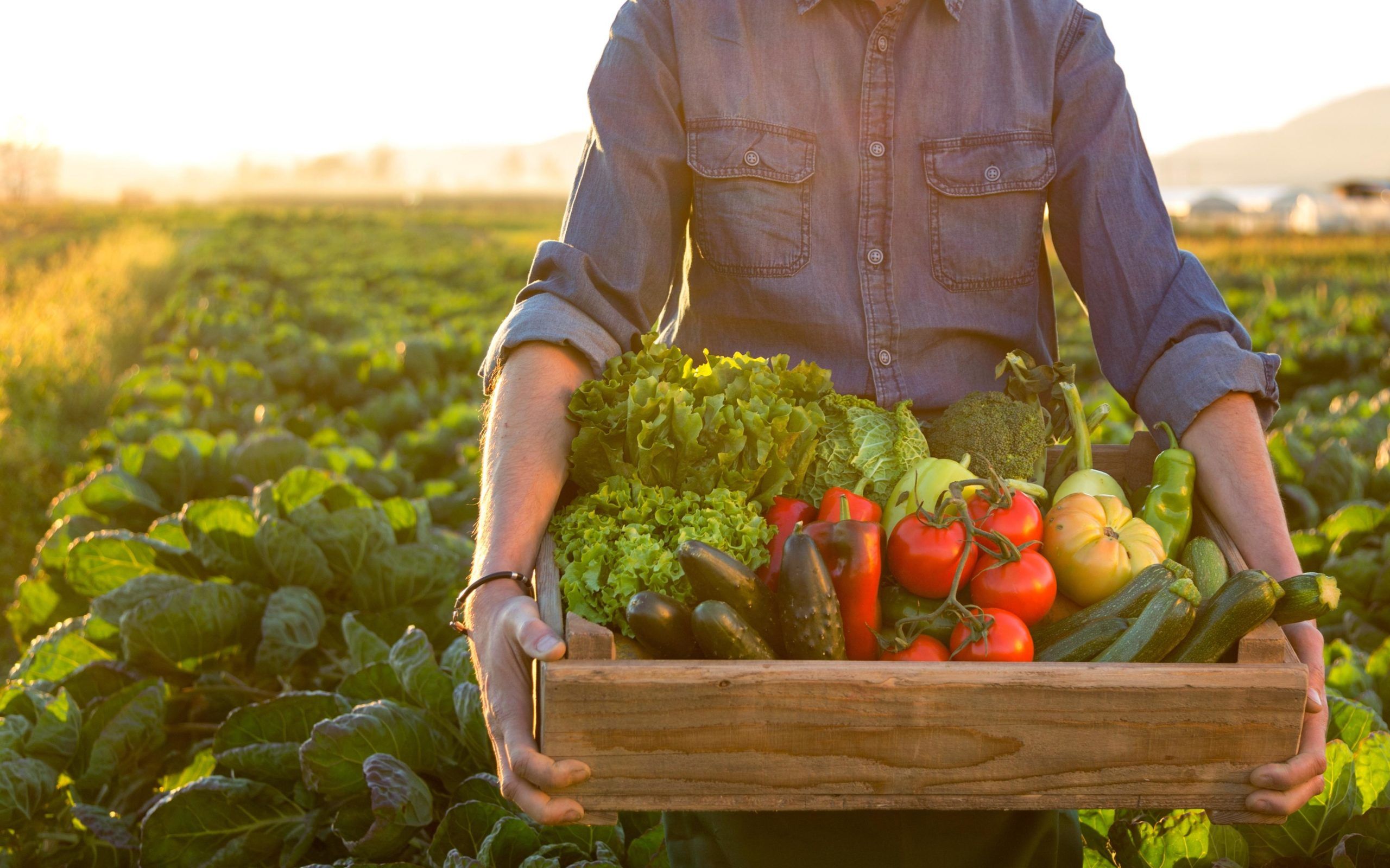 practici dăunători agricultura ecologică - agroexpert.md