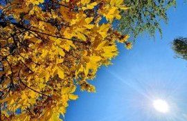 vremea septembrie octombrie - agroexpert.md