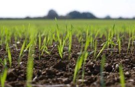 trecere agricultura conservativă - agroexpert.md