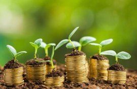 subvenții măsuri online - agroexpert.md