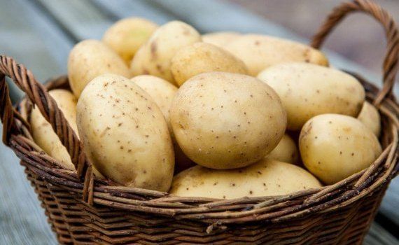 Прогноз о снижении производства картофеля в Молдове подтверждается - agroexpert.md