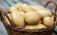 Прогноз о снижении производства картофеля в Молдове подтверждается - agroexpert.md