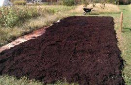 Зрите в почву: как понять и улучшить здоровье земли в своем огороде = agroexpert.md