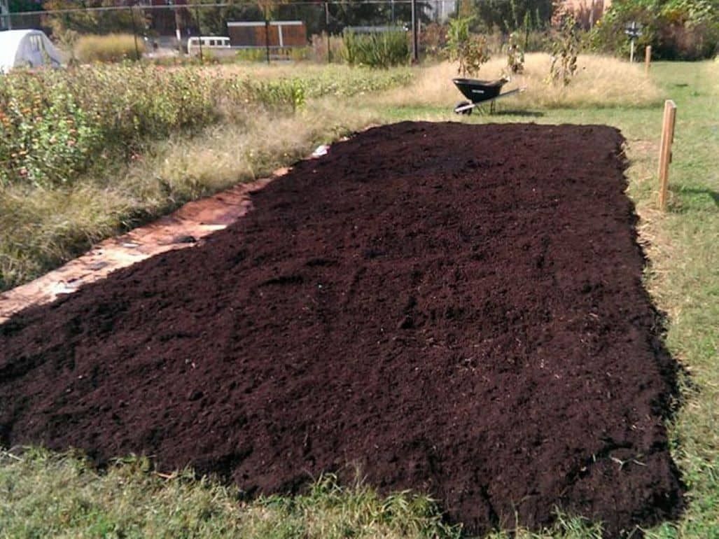 Зрите в почву: как понять и улучшить здоровье земли в своем огороде = agroexpert.md