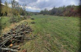 tăieri arbori protejare câmp agricol - agroexpert.md