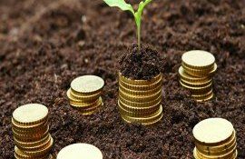 subvenții post-investiție - agroexpert.md