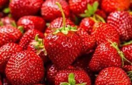 ТОП - 10 крупнейших рынков для импорта клубники - agroexpert.md