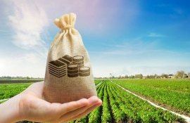 ajutor financiar crize 2022 - agroexpert.md