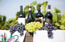 Moldova Wine Grand Tasting - agroexpert.md