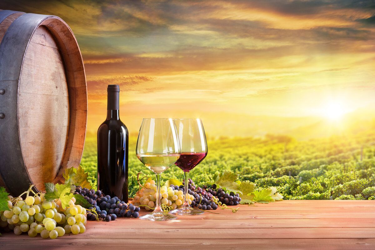 Franța primul producător mondial de vin - agroexpert.md