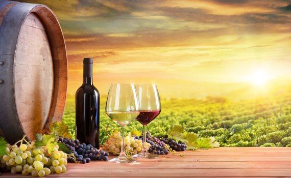 Franța primul producător mondial de vin - agroexpert.md