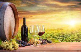 Franța primul producător mondial de vin - agroexpert.md