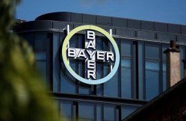 Концерн Bayer может разделиться на две компании - agroexpert.md