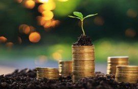 finanțare agricultori Livada Moldovei - agroexpert.md