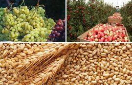 Реванш плодоводства? - agroexpert.md