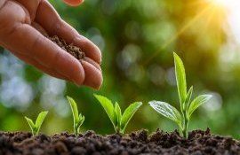 măsuri protecție plante - agroexpert.md