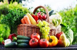 control domeniu agroalimentar UE - agroexpert.md
