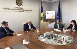 discuții MAIA dezvoltare agricultura - agroexpert.md