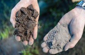 Технология no-till: почвенная влага даже в экстремальных условиях сохранена - agroexpert.md