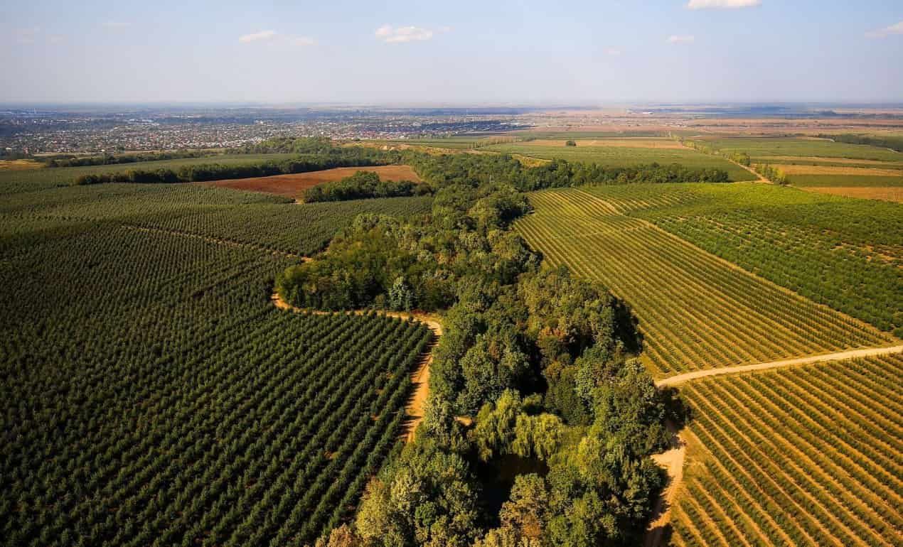 Парламент Молдовы одобрил новый земельный кодекс - agroexpert.md