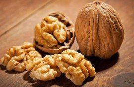 Орехи опять становятся выгодным бизнесом? - agroexpert.md