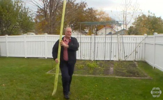 В Канаде выращен кабачок длиной длинной 2,56 метра - agroexpert.md